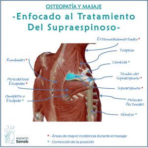 Osteopatía, Quiromasaje, Técnicas Manuales